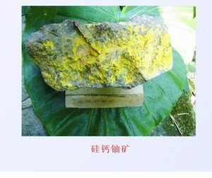 沒有離心機(jī)，第一顆原子彈的鈾從哪里來？
